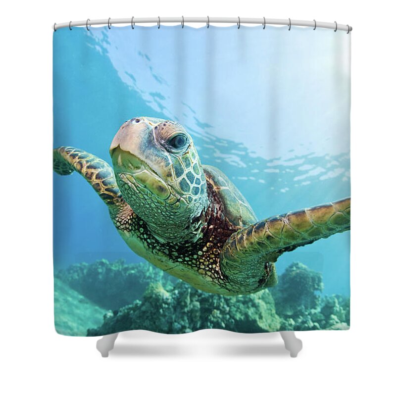 Blue Sea Turtle Shower Curtain Hawaiian 100% Polyester Fabric Shower Curtain